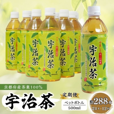 【毎月定期便】【お茶 ペットボトル】京都産 宇治茶 ペットボトル 500ml×24本全12回