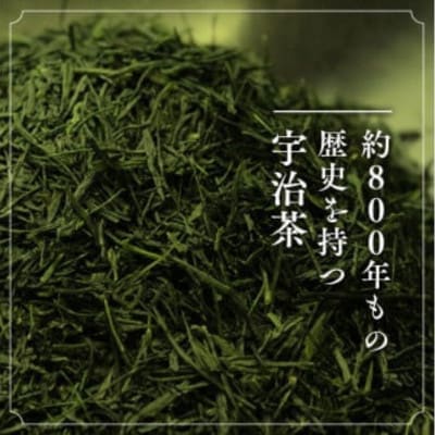 【毎月定期便】【お茶 ペットボトル】京都産 宇治茶 ペットボトル 500ml×24本全12回