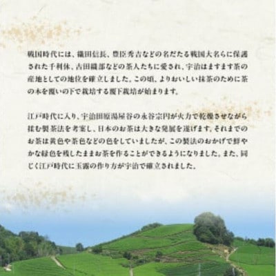 【毎月定期便】【お茶 ペットボトル】京都産 宇治茶 ペットボトル 500ml×24本全12回