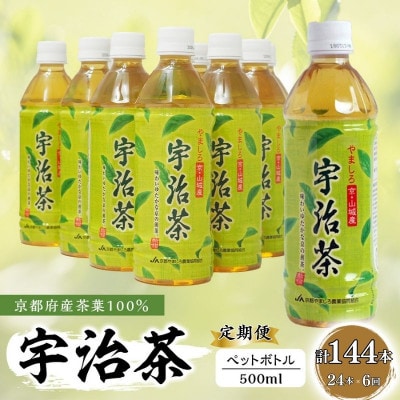 【毎月定期便】【お茶 ペットボトル】京都産 宇治茶 ペットボトル 500ml×24本全6回