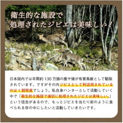 鹿肉パテ 1kg(100g×10パック)低温熟成肉 ジビエ