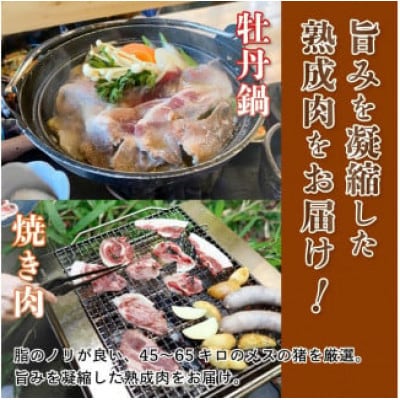 猪肉スライス(猪ロース、猪バラ肉、猪モモ肉、肩肉)ミックス合計300g (約2人前)