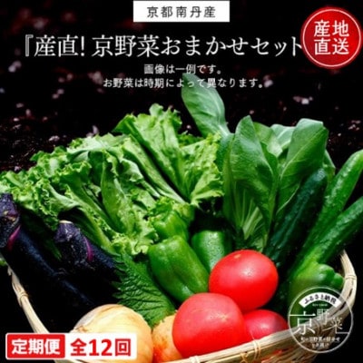 【毎月定期便】【産地直送】旬のお野菜詰め合わせ 京野菜セット 6～8種類全12回