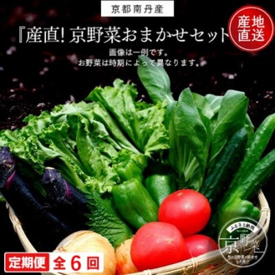 【毎月定期便】【産地直送】旬のお野菜詰め合わせ 京野菜セット 6～8種類全6回