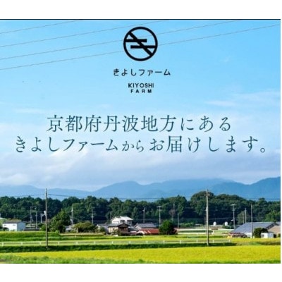 【毎月定期便】【産地直送】旬のお野菜詰め合わせ 京野菜セット 6～8種類全3回