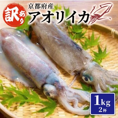 訳あり 【京都府産 アオリイカ】約1kg(2杯)