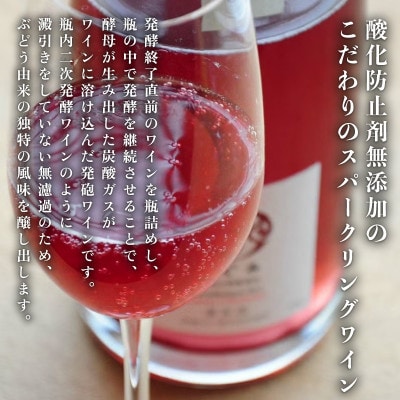 【丹波ワイン】スパークリングワイン(白・ロゼ) 飲み比べ 750ml×2本 贈答用にもおすすめのお酒