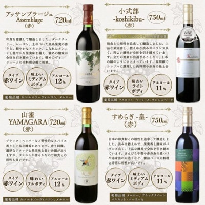 【丹波ワイン】赤ワイン 飲み比べ 4本セット 贈答用にもおすすめのお酒