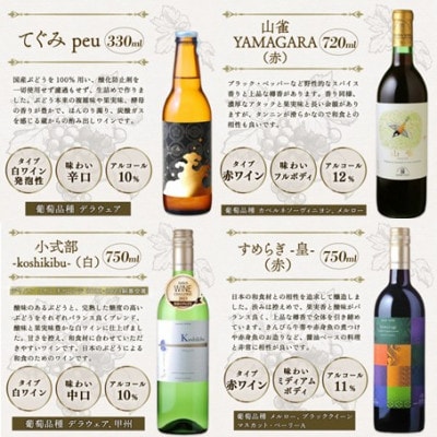 丹波ワイントライアル 6本セット 贈答用にもおすすめのお酒 【京都府京丹波町】