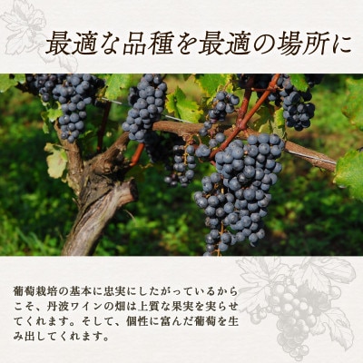 丹波ワイントライアル 6本セット 贈答用にもおすすめのお酒 【京都府京丹波町】