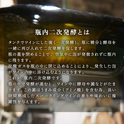 スパークリングワイン 京都丹波トラディショナル 750ml 1本 贈答用にもおすすめのお酒