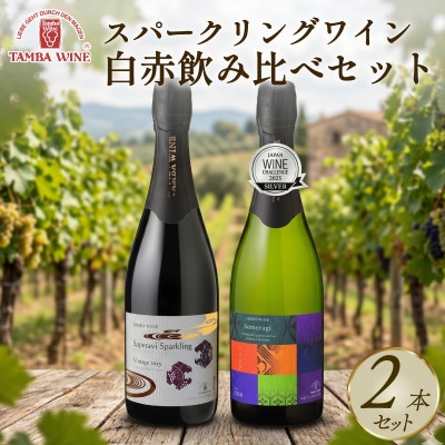 丹波ワイン スパークリングワイン 白赤飲み比べ 750ml×2本セット 贈答用にもおすすめのお酒