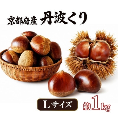 《先行受付》2026年度産 丹波くり Lサイズ  約1kg 京都府産栗