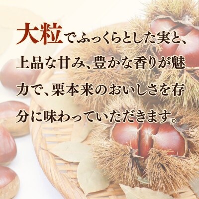 《先行受付》2026年度産 丹波くり Lサイズ  約1kg 京都府産栗