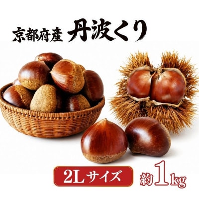 《先行受付》2026年度産 丹波くり 2Lサイズ  約1kg 京都府産栗