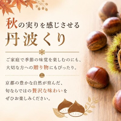 《先行受付》2026年度産 丹波くり 2Lサイズ  約1kg 京都府産栗