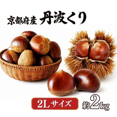 《先行受付》2026年度産 丹波くり 2Lサイズ  約2kg 京都府産栗