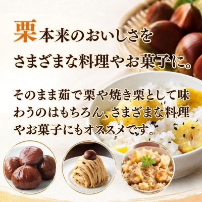 《先行受付》2026年度産 丹波くり 2Lサイズ  約2kg 京都府産栗