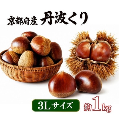 《先行受付》2026年度産 丹波くり 3Lサイズ  約1kg 京都府産栗