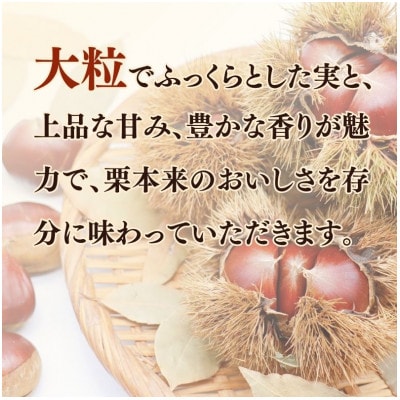 《先行受付》2026年度産 丹波くり 3Lサイズ  約1kg 京都府産栗