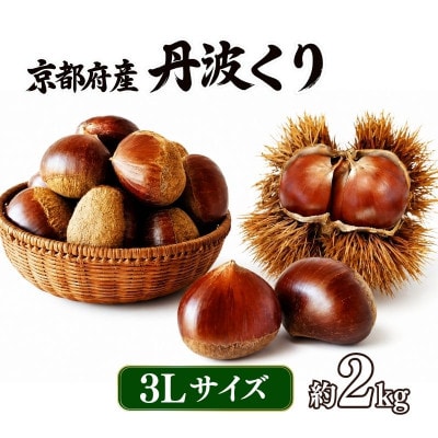 《先行受付》2026年度産 丹波くり 3Lサイズ  約2kg 京都府産栗