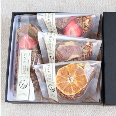 むなかた福津グラノーラ 50g×1本、25g×3袋