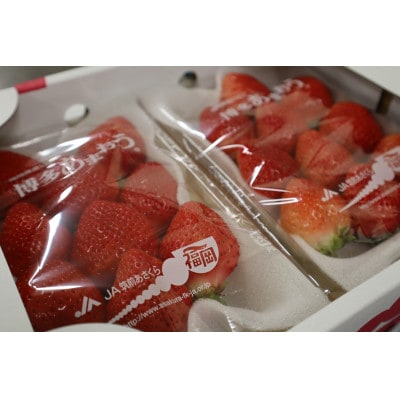 福岡県産「あまおう」約250g×4パック(福岡県)