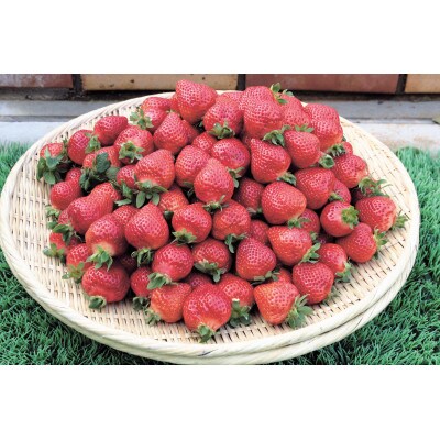福岡県産「あまおう」約250g×4パック(福岡県)