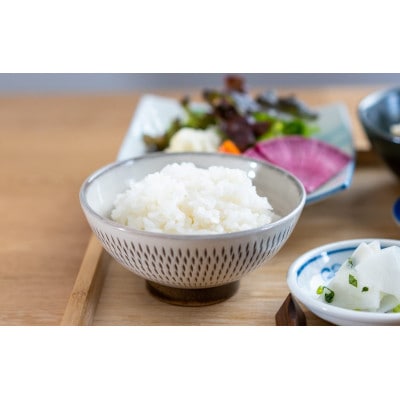 別格夢つくし 計2kg 福岡県産