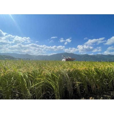 別格　夢つくし 計10kg 福岡県産