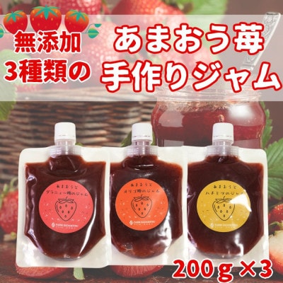3種類のいちごジャム 無添加 あまおうイチゴ200g×3袋 手作り国産 チューブパウチ入り(福岡県)