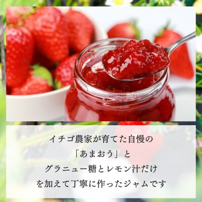 いちごジャム 無添加あまおうとグラニュー糖のジャム200g×3袋 手作り国産チューブパウチ(福岡県)