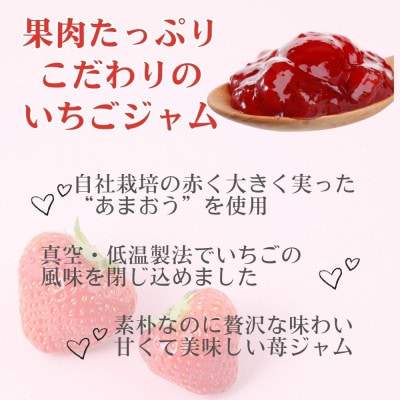 いちごジャム 無添加あまおうとグラニュー糖のジャム200g×3袋 手作り国産チューブパウチ(福岡県)