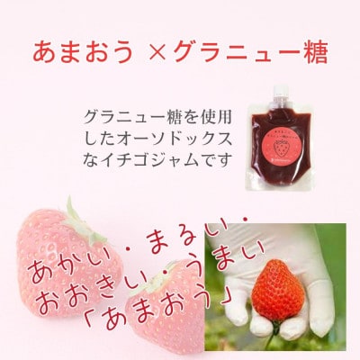 いちごジャム 無添加あまおうとグラニュー糖のジャム200g×3袋 手作り国産チューブパウチ(福岡県)