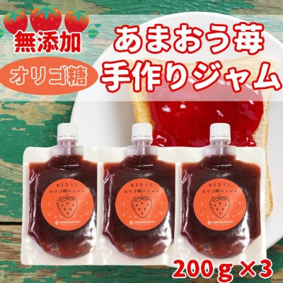 いちごジャム 無添加あまおうとオリゴ糖のジャム200g×3袋 手作り国産チューブパウチ入り(福岡県)