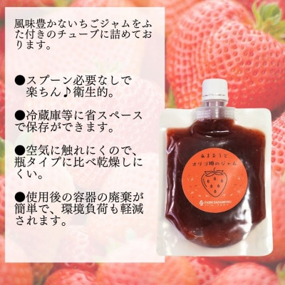 いちごジャム 無添加あまおうとオリゴ糖のジャム200g×3袋 手作り国産チューブパウチ入り(福岡県)