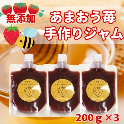 いちごジャム 無添加あまおうとハチミツのジャム200g×3袋 手作り国産チューブパウチ入り(福岡県)