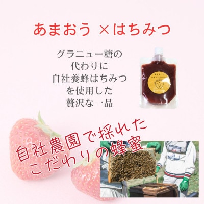 いちごジャム 無添加あまおうとハチミツのジャム200g×3袋 手作り国産チューブパウチ入り(福岡県)