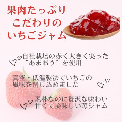 いちごジャム 無添加あまおうとハチミツのジャム200g×3袋 手作り国産チューブパウチ入り(福岡県)