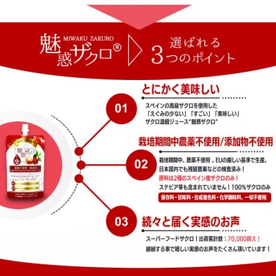 【毎月定期便】魅惑ザクロ GINGER Boost(福岡県返礼品)【4袋入り】全3回