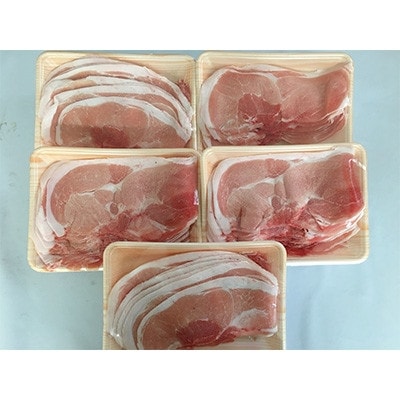 関門ポーク切落し(計2.5kg)　T1(福岡県)