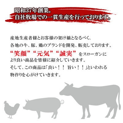 関門ポークの骨付きスペアリブ(1.6kg)　T4(福岡県)