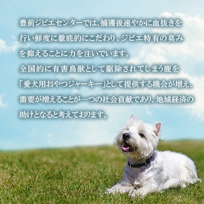 福岡県豊前市産 犬のおやつ 鹿ジャーキー 150g×2袋(福岡県)