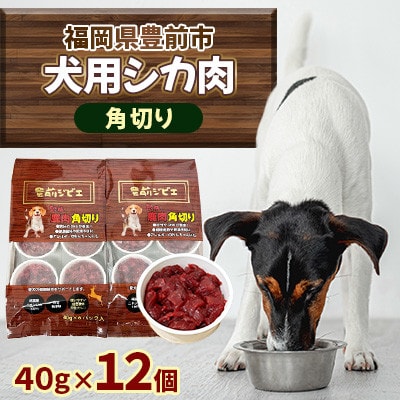 福岡県豊前市 犬用シカ生肉【角切り】480g(40g×12個)(福岡県)