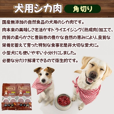 福岡県豊前市 犬用シカ生肉【角切り】480g(40g×12個)(福岡県)