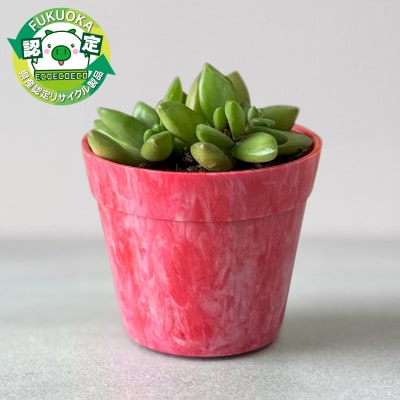 フラワーポット「ハナマル」(赤色・黄色)世界に一つだけのリサイクルアート