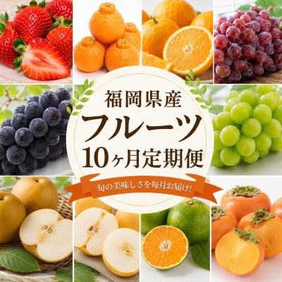 【発送月固定定期便】フルーツ　10ヶ月定期便(福岡県)全10回