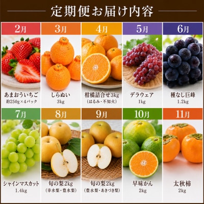 【発送月固定定期便】フルーツ　10ヶ月定期便(福岡県)全10回