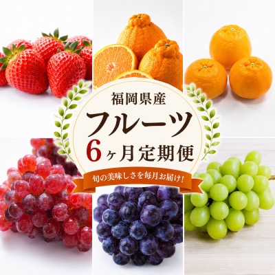 【発送月固定定期便】福岡県　フルーツ6ヶ月定期便(2月～7月)全6回