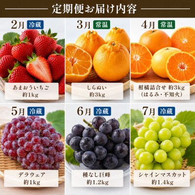 【発送月固定定期便】福岡県　フルーツ6ヶ月定期便(2月～7月)全6回